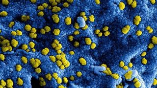 2020-03-12-coronavirus